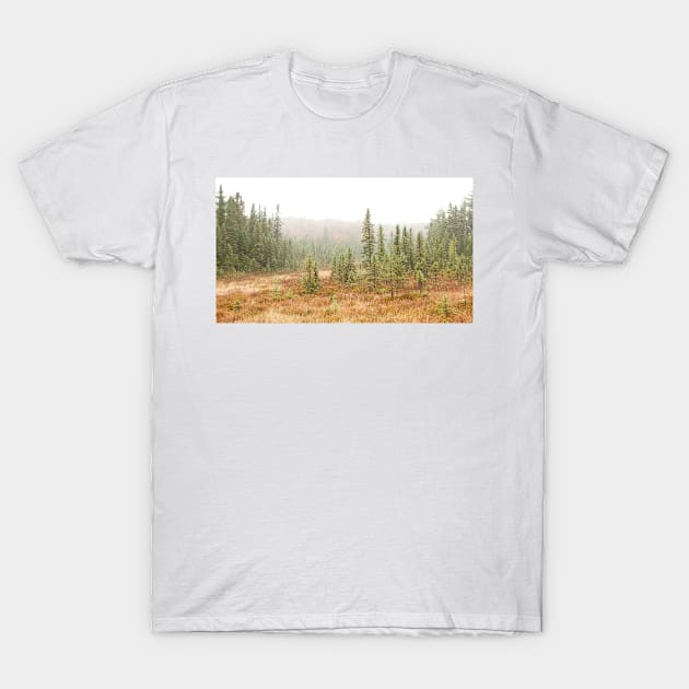 Fog in Algonquin Park, Canada T-Shirt by Jim Cumming